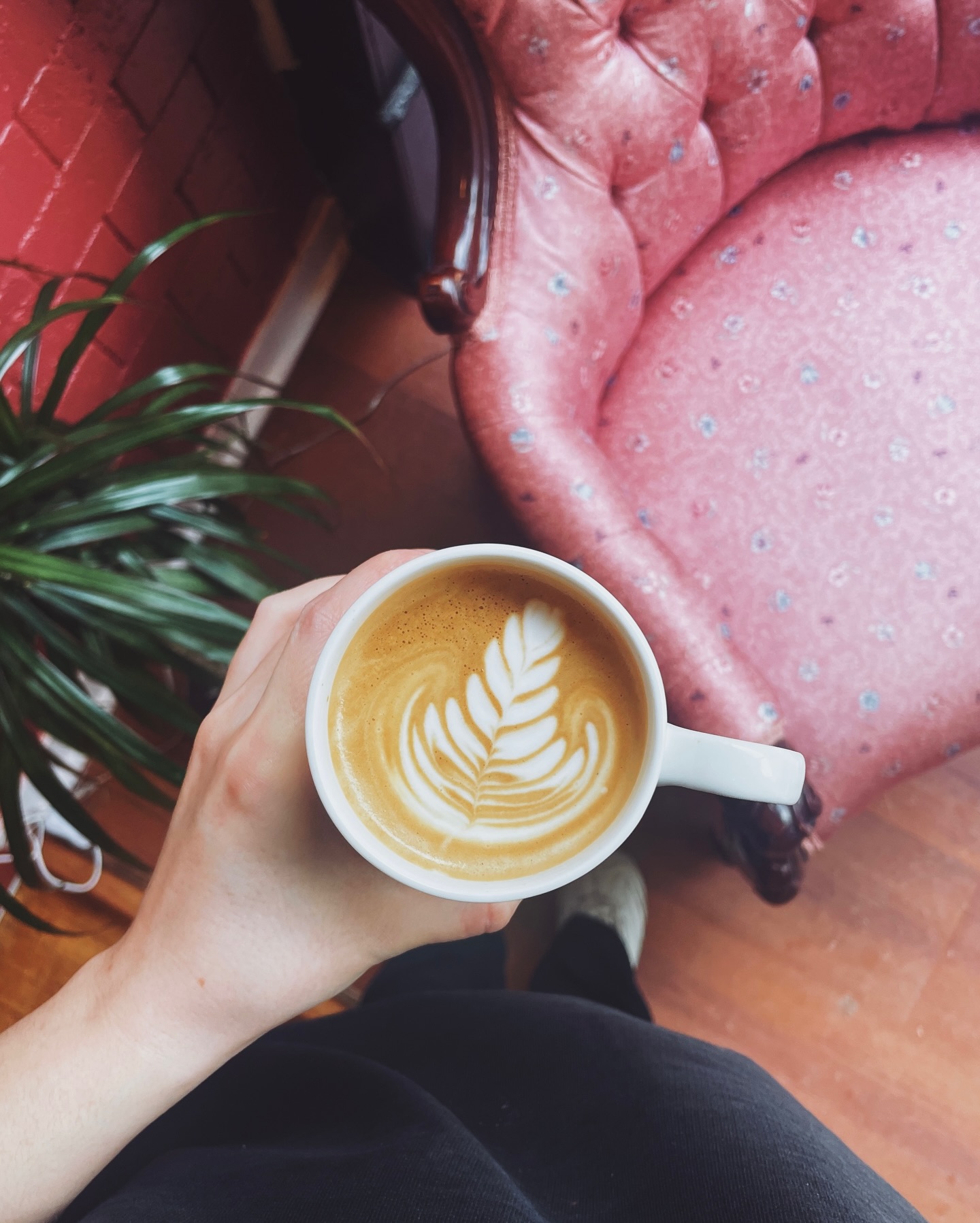 A latte beside a vintage pink chair and leafy houseplant at Our Place Coffeehouse